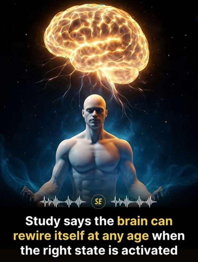 Bộ não có thể tái cấu trúc ở bất kỳ độ tuổi nào