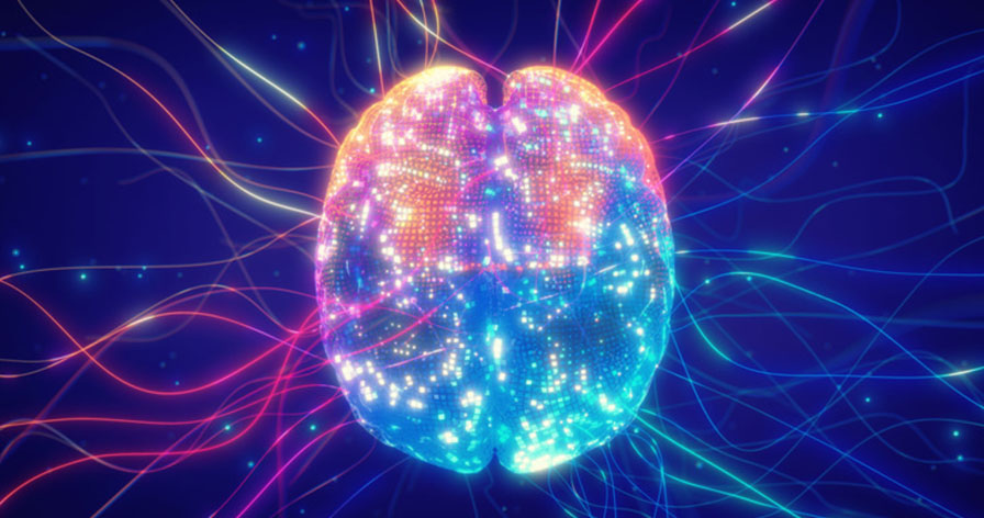 Bộ não của bạn cảm nhận được điều gì sẽ xảy ra trong tương lai