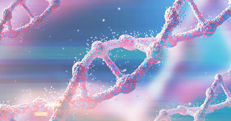 Bước tiến y học mở ra khả năng tái sinh kỳ diệu ở con người