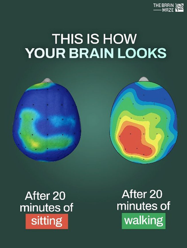 Đi bộ – Bí quyết đánh thức trí não và tinh thần minh mẫn