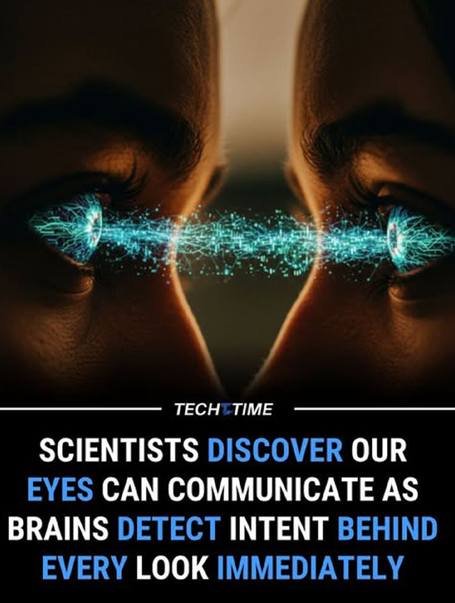 Khi đôi mắt biết nói: Khoa học giải mã bí ẩn của giao tiếp không lời