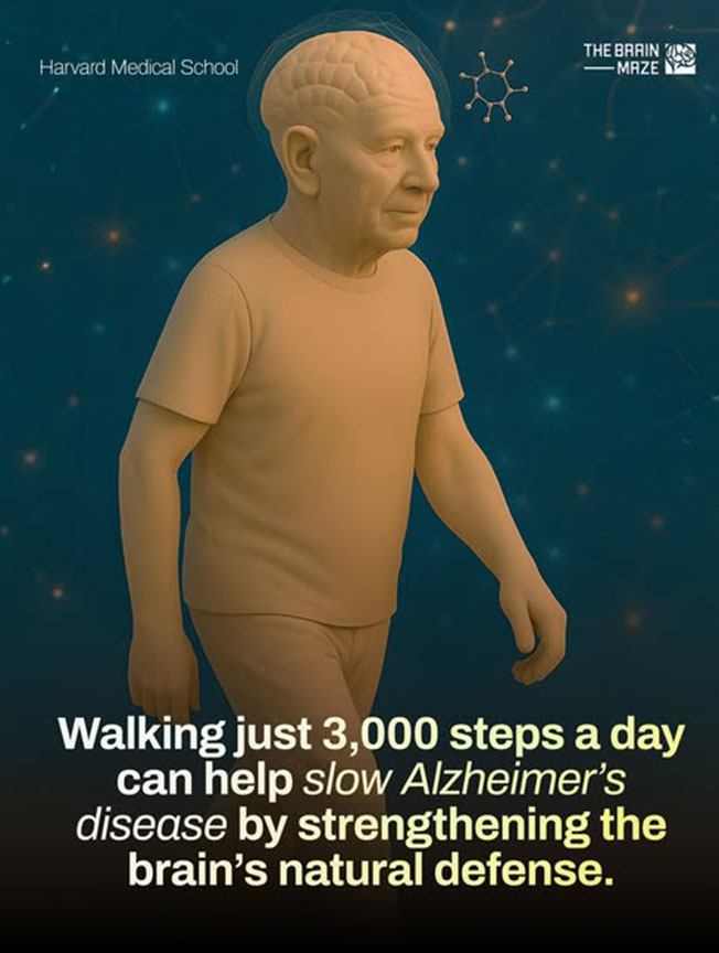 Tăng cường trí nhớ chỉ với 3.000 bước mỗi ngày